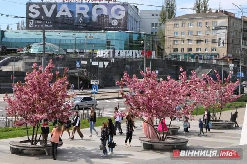 Квартира Центр 빈니차 외부 사진